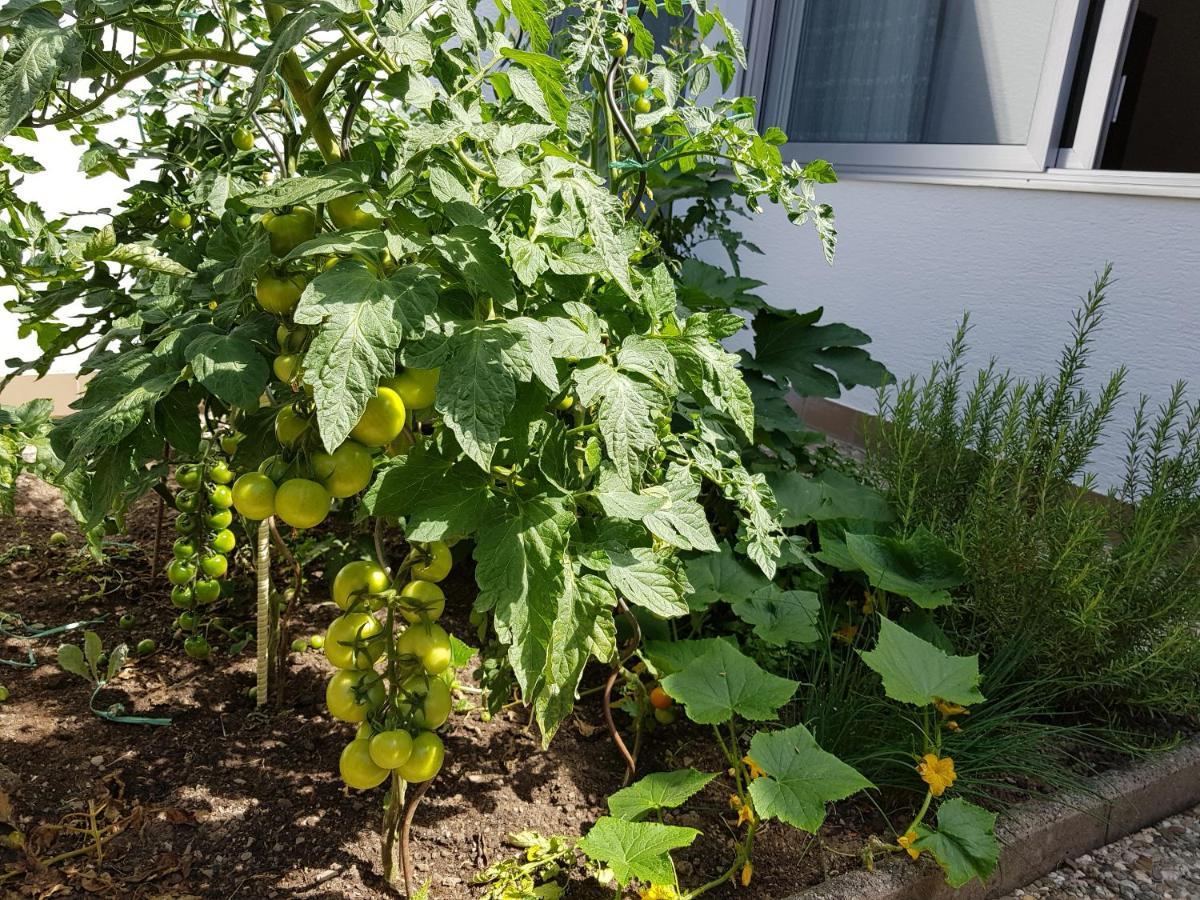 Ferienwohnung Gartenstudio Anila I. und II. Cochem Exterior foto