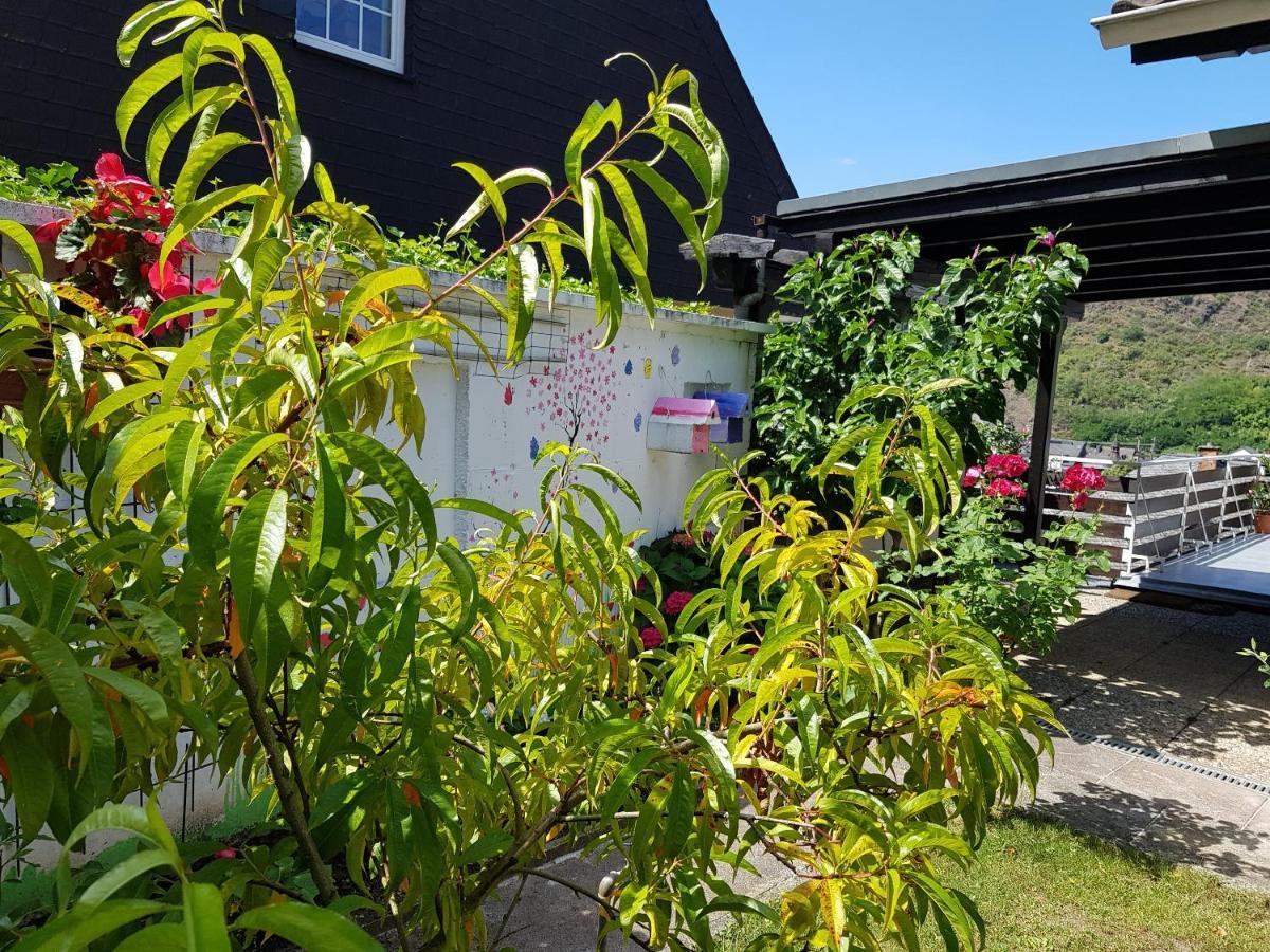 Ferienwohnung Gartenstudio Anila I. und II. Cochem Exterior foto