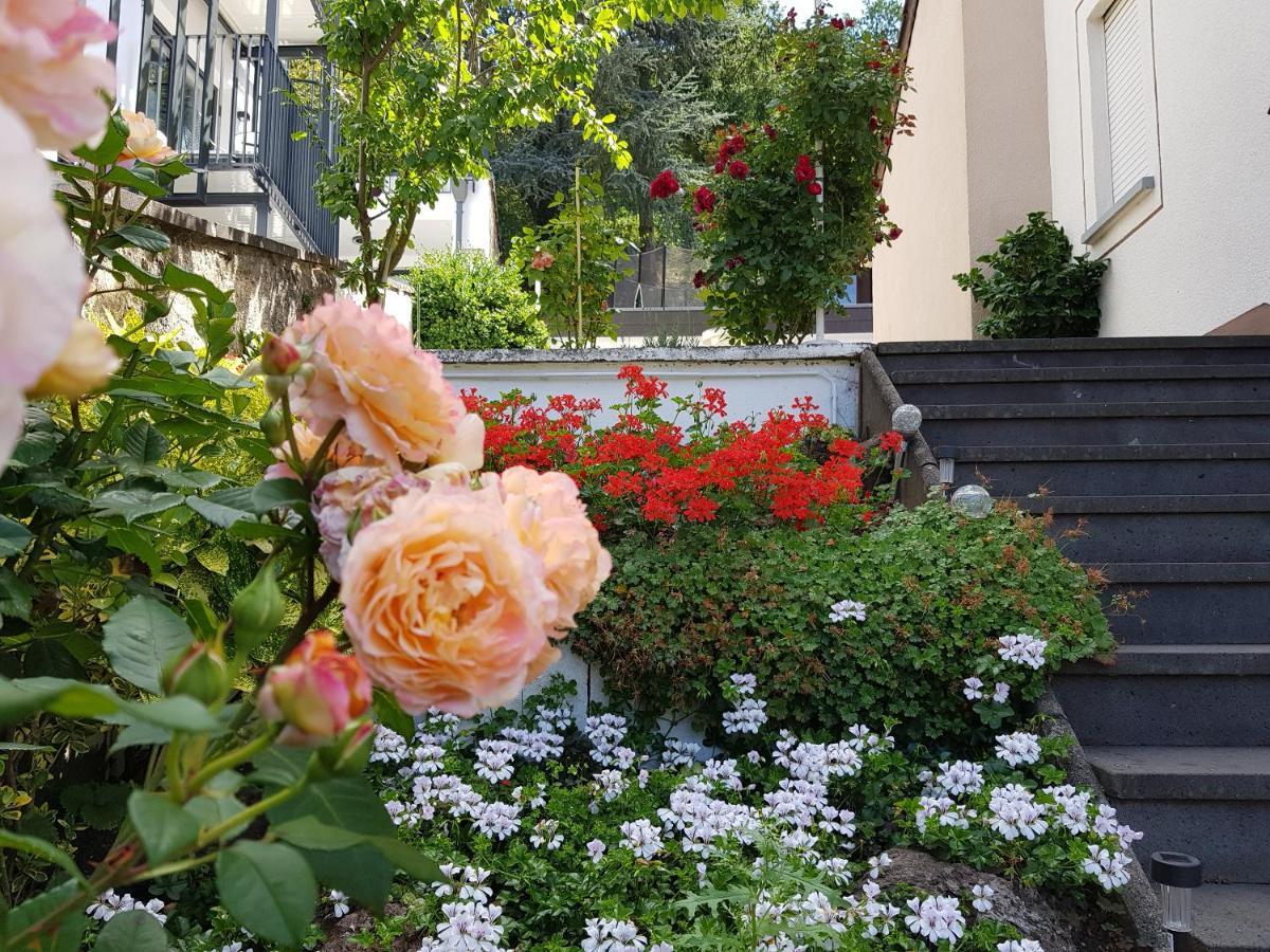 Ferienwohnung Gartenstudio Anila I. und II. Cochem Exterior foto